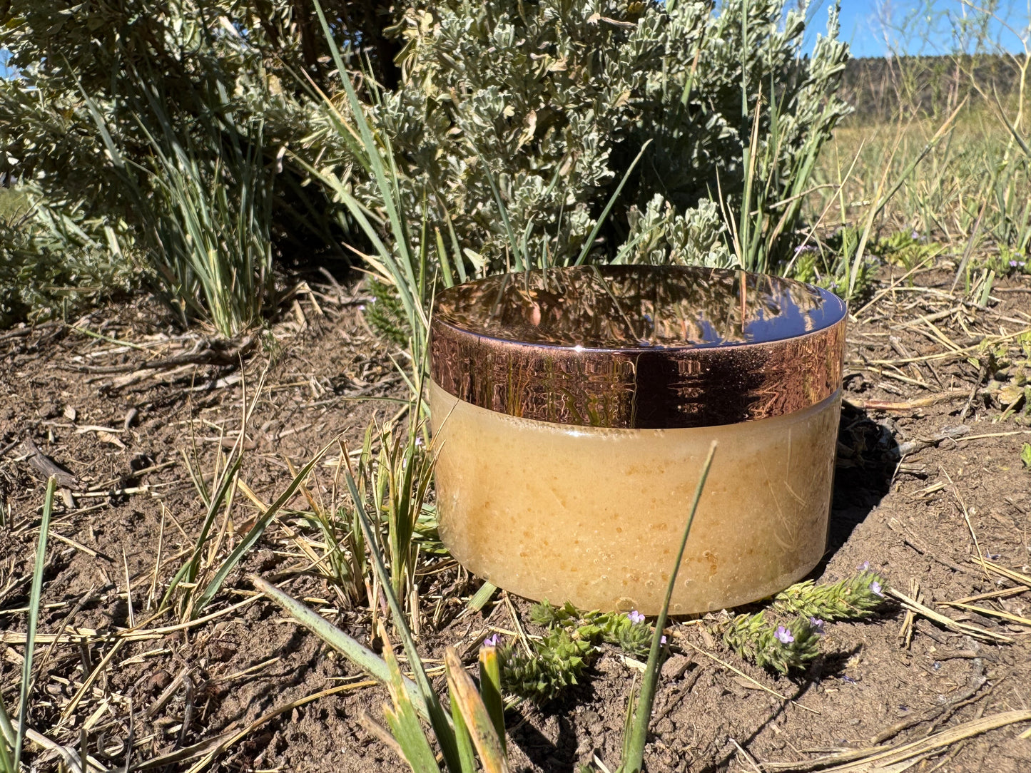 Coconut Cowgirl Sugar Scrub